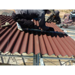 Thi công Tôn Sinh Thái